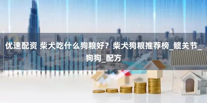 优速配资 柴犬吃什么狗粮好？柴犬狗粮推荐榜_髋关节_狗狗_配方