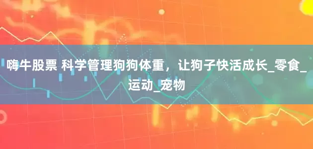 嗨牛股票 科学管理狗狗体重，让狗子快活成长_零食_运动_宠物