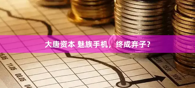 大唐资本 魅族手机，终成弃子？
