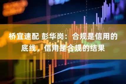 桥宜速配 彭华岗:合规是信用的底线,信用是合规的结果